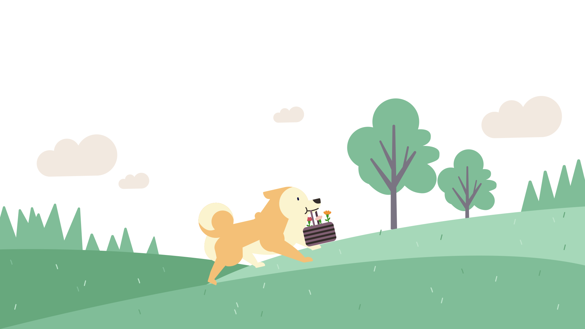 A shiba walking up a hill with a basket